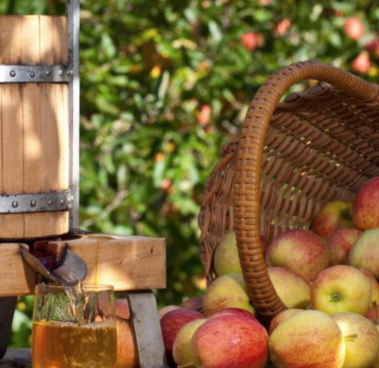 Ecole Elémentaire : Vente de jus de pomme