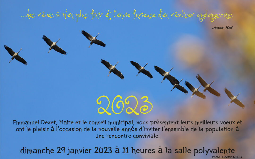 Voeux du Maire